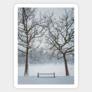 a bench under the snowy trees Sticker